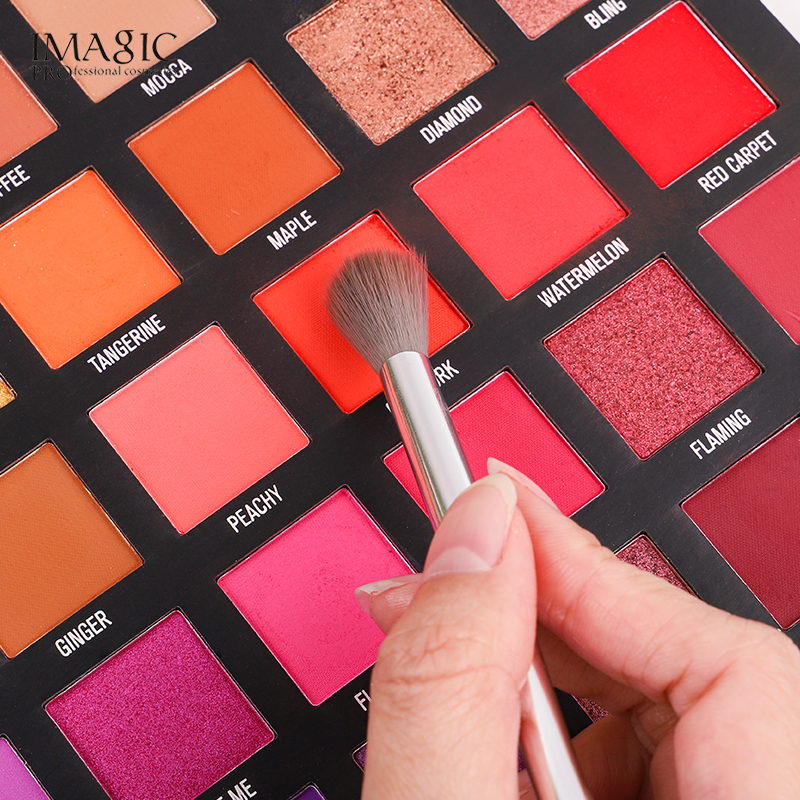 IMAGIC 13 Pcs/Set Professional - Beauty Makeup Images 评论和价格